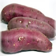 Sweet Potato