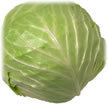 cabbage